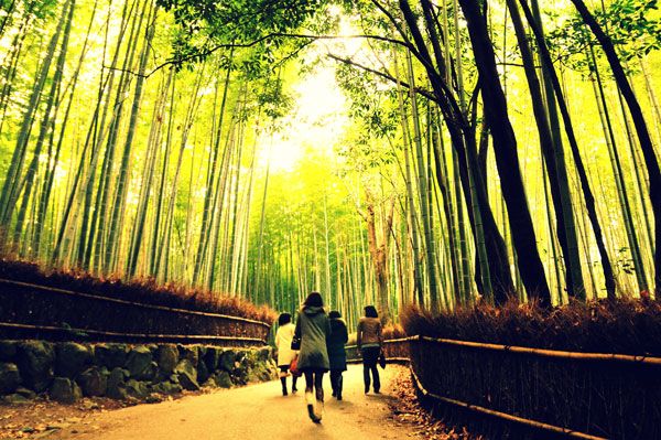 Arashiyama-Bamboo-Forest1