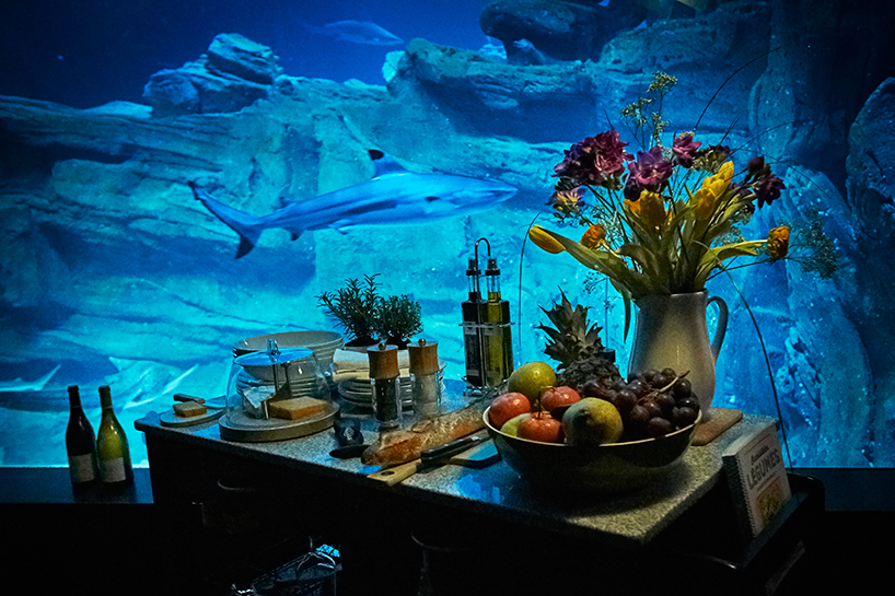 airbnb-ubi-bene-paris-aquarium-shark-suite-designboom-05